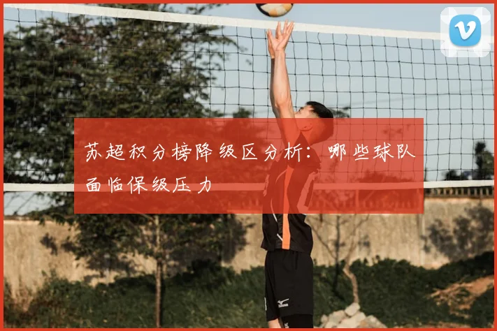 苏超积分榜降级区分析:哪些球队面临保级压力