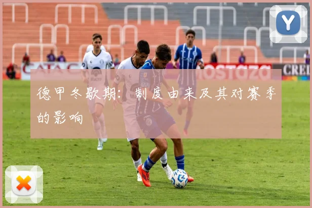 德甲冬歇期:制度由来及其对赛季的影响