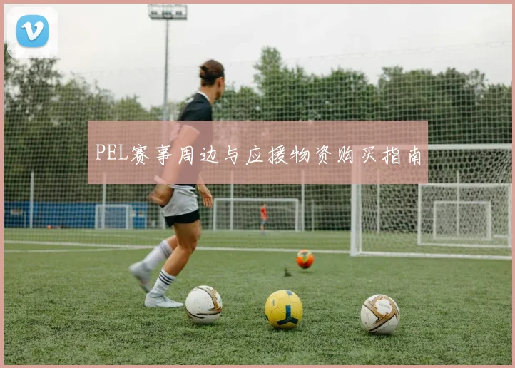 PEL赛事周边与应援物资购买指南