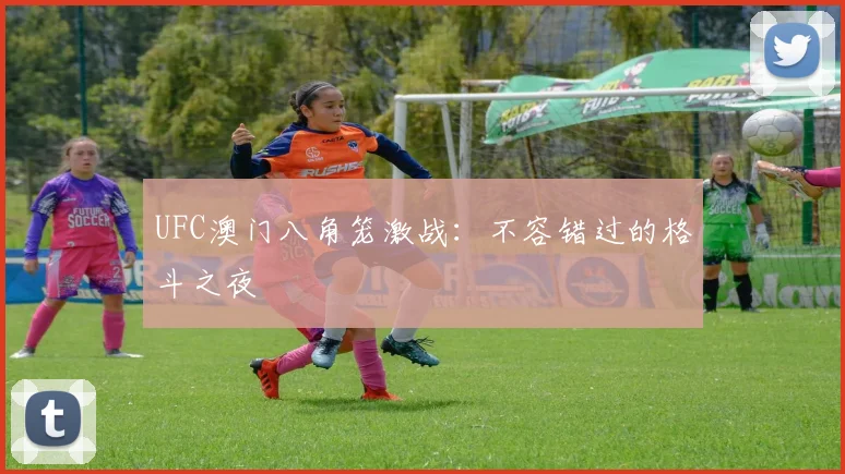 UFC澳门八角笼激战:不容错过的格斗之夜